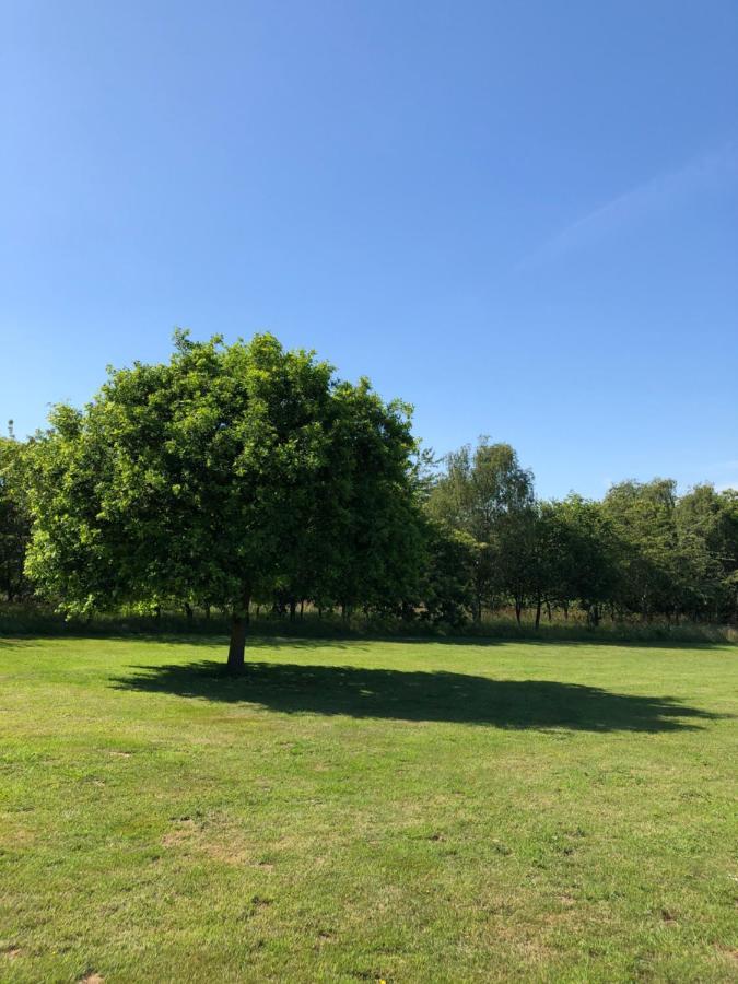 Meadows Barn Apartman Chelmsford Kültér fotó